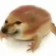 朗朗酱QAQ