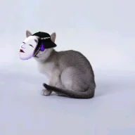 singapura新加坡猫
