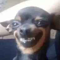 DNMDNMD
