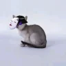 singapura新加坡猫