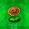 植物大战僵尸1437版