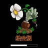 植物大战僵尸结合