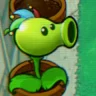 PVZ扑克版