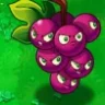 PVZGB
