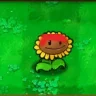 植物大战僵尸爷版
