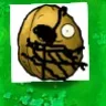 植物大战僵尸bl版
