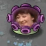 PVZ春哥版