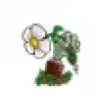 pvz_xb